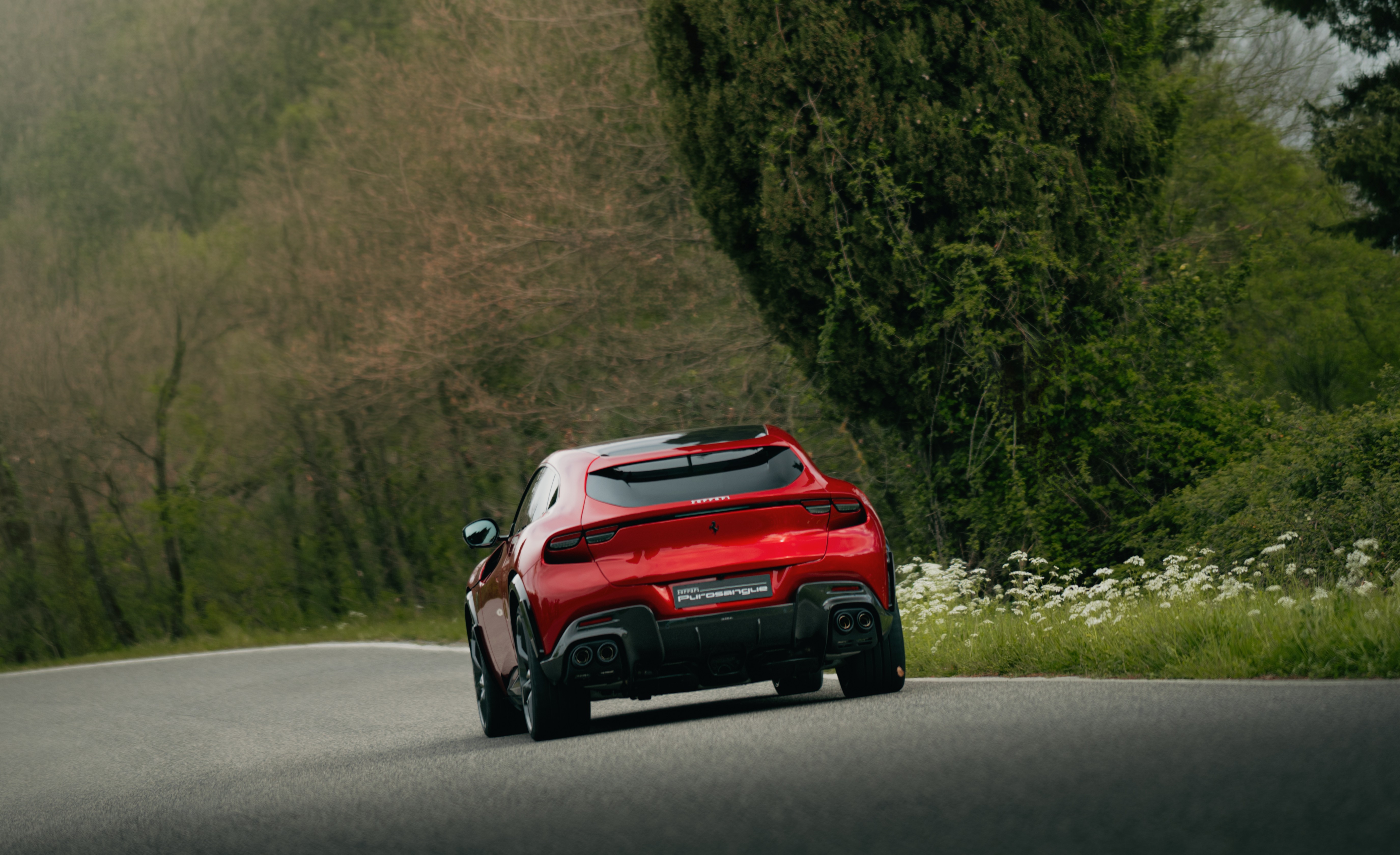 Ferrari Purosangue rear