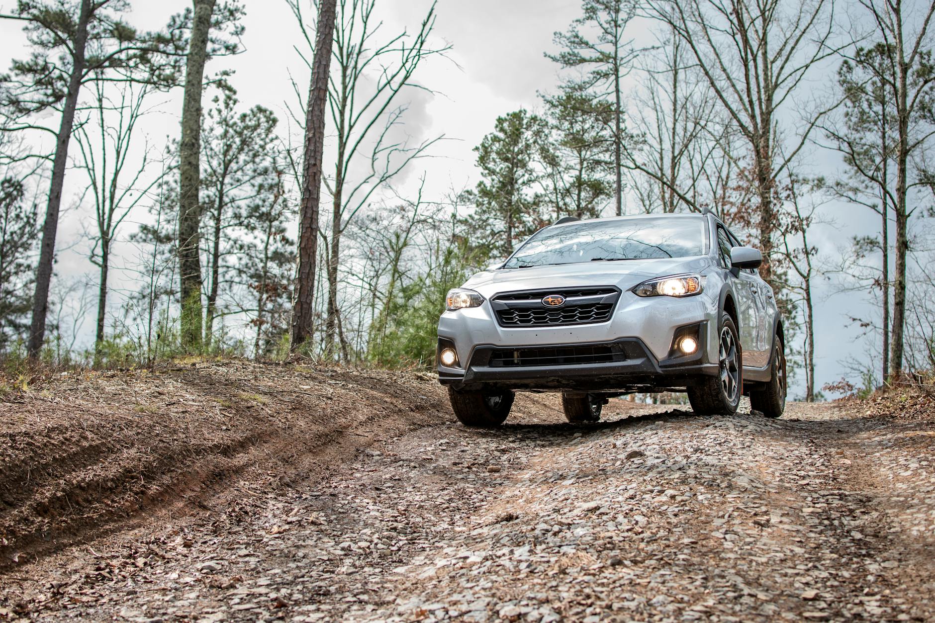 Subaru Crosstrek on dirt road in forested area