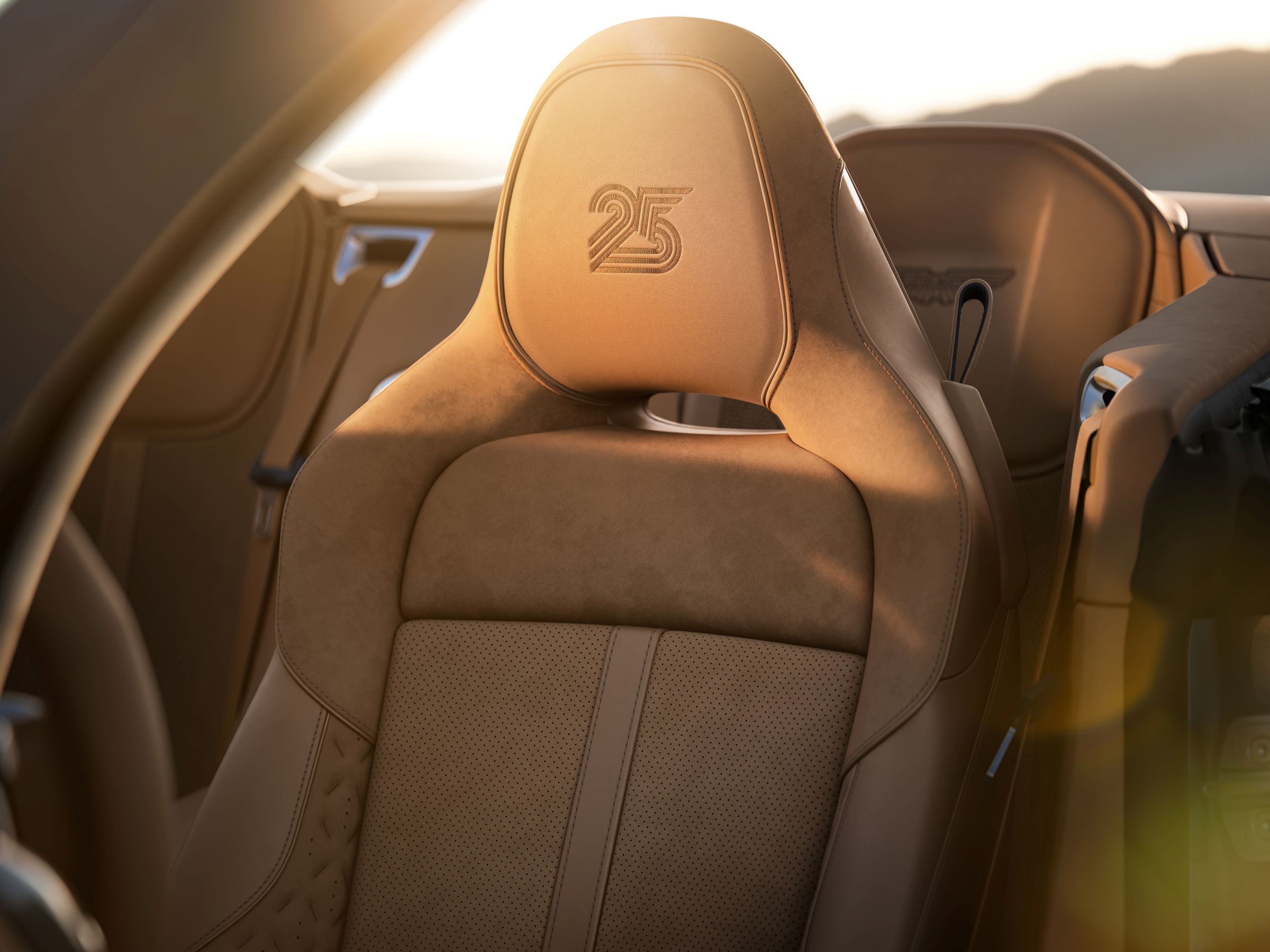Aston Martin Vanquish seatback
