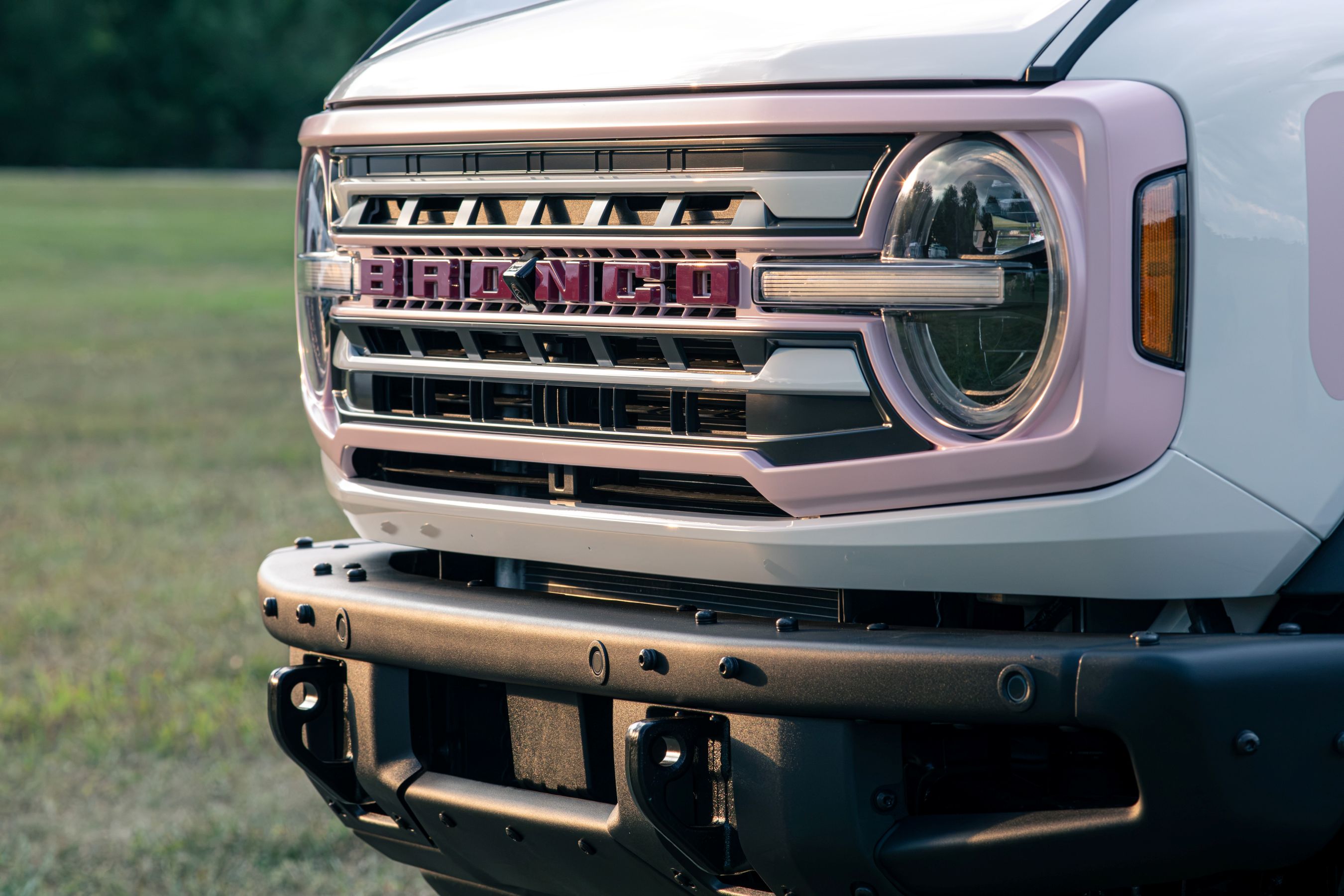 Ford Bronco Desert Rising front end