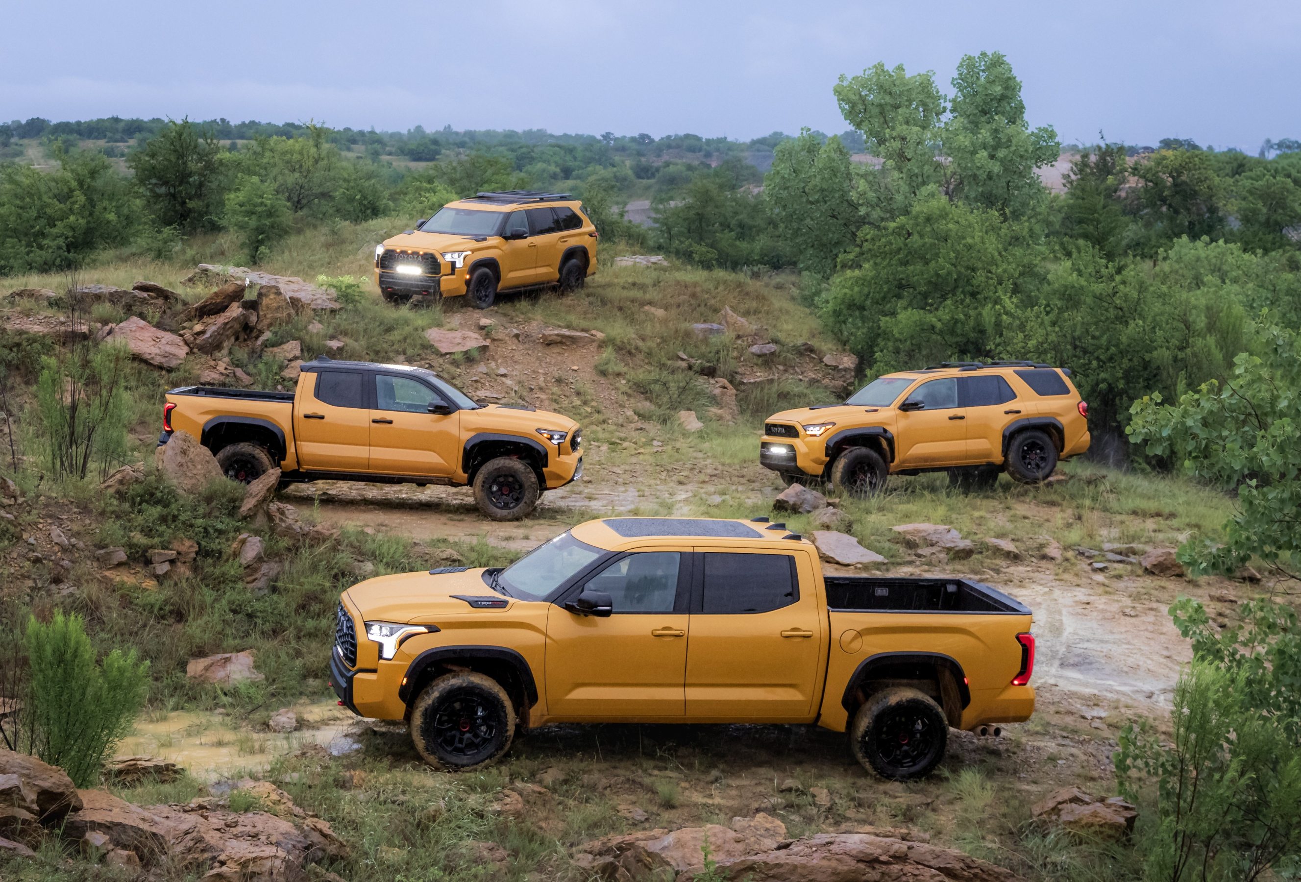 Toyota Tundra, Tacoma and Sequoia in Honeycomb colours and 4Runner in Hot Honey colour