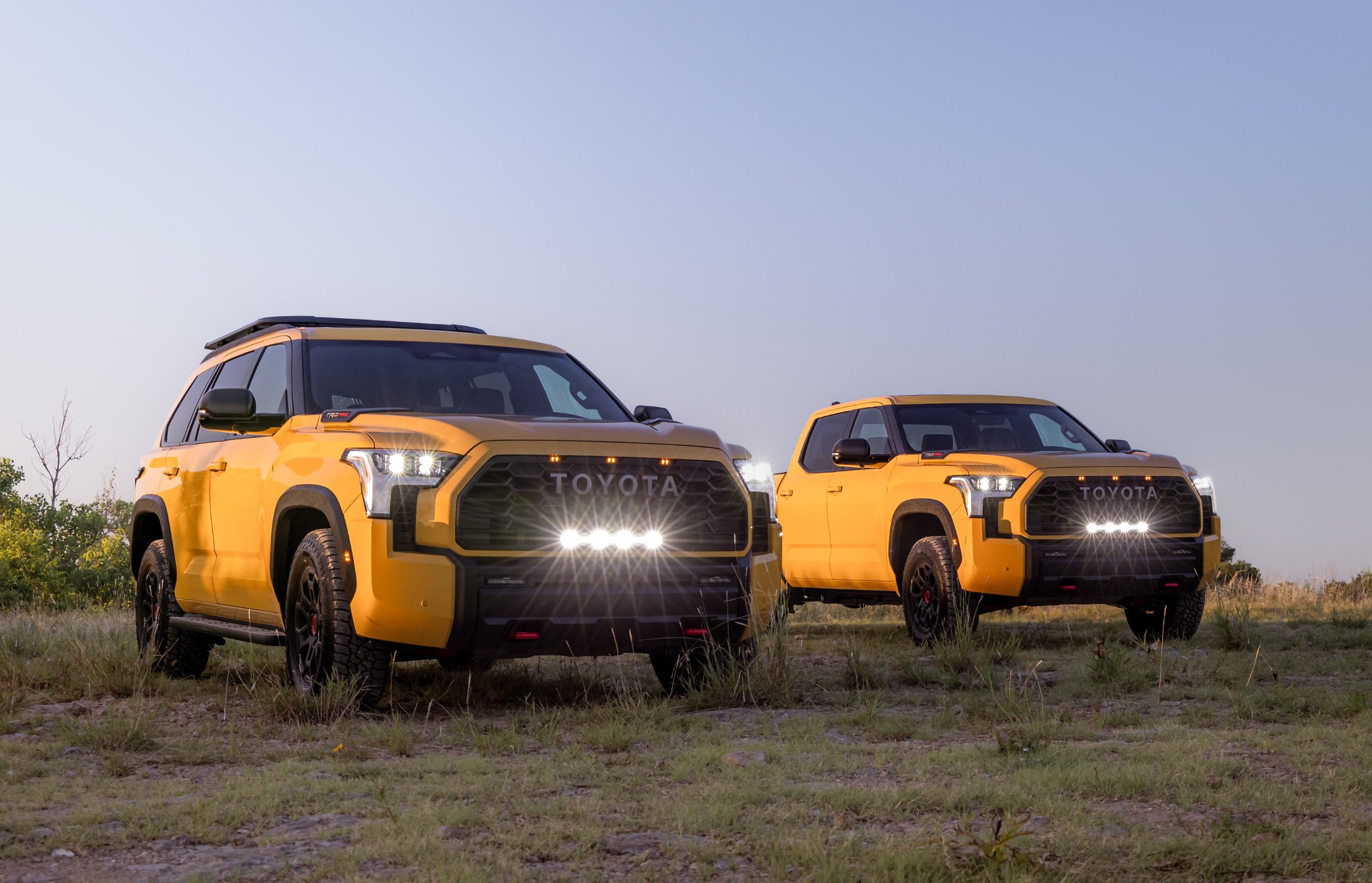 Toyota Sequoia and Tundra in Honeycomb colours